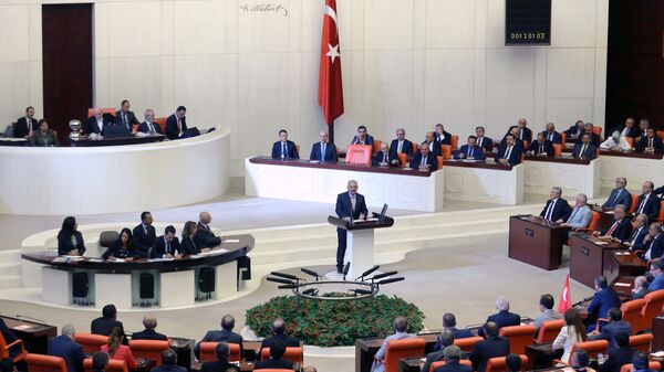土耳其大国民议会 - 俄罗斯卫星通讯社