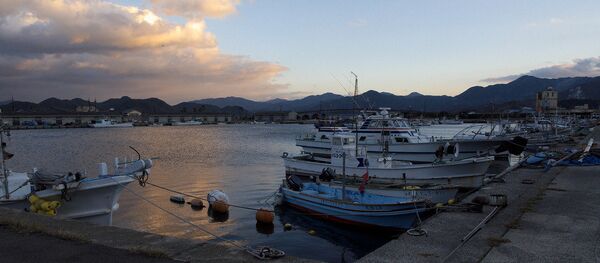 日本,山口县 日本,山口县 - 俄罗斯卫星通讯社