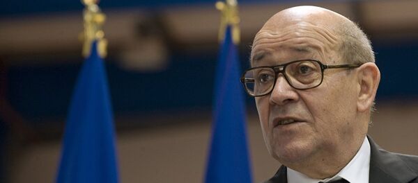 法国防部长:法国16日和18日凌晨对“伊斯兰国”阵地进行打击 法国防部长:法国16日和18日凌晨对“伊斯兰国”阵地进行打击 - 俄罗斯卫星通讯社