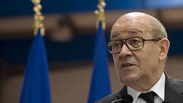 法國外長：歐洲應強硬應對美國稅收計劃 - 俄羅斯衛星通訊社