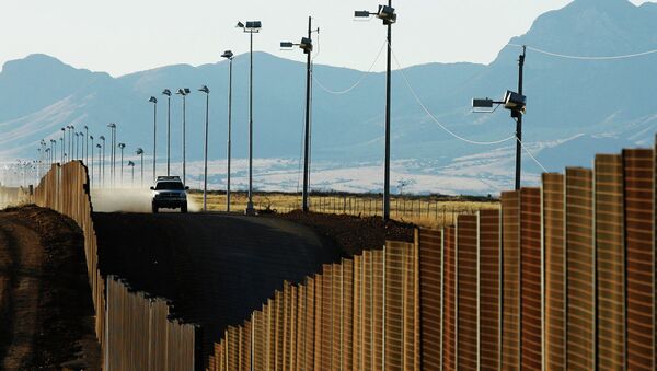 特朗普相信墨西哥会补偿美国用于筑墙的花费 - 俄罗斯卫星通讯社