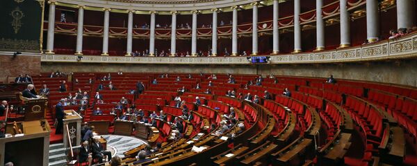 法国民议会 - 俄罗斯卫星通讯社