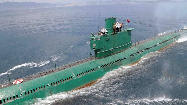 朝鮮繼續在研制可攜帶彈道導彈的潛艇 - 俄羅斯衛星通訊社