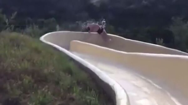 水上樂園 - 俄羅斯衛星通訊社