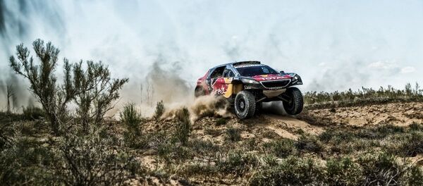 车手尼古拉耶夫望丝绸之路拉力赛第14赛道仍是“马拉松” - 俄罗斯卫星通讯社