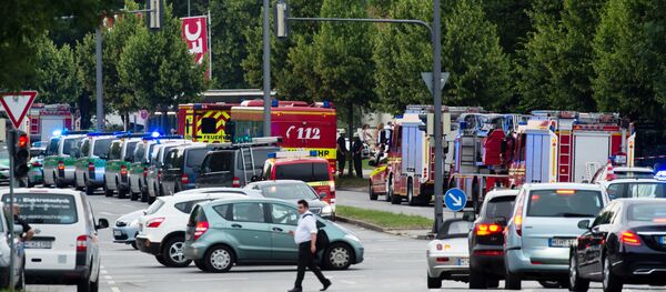 据德国媒体报道，德国边防部门出动直升机，参与搜捕慕尼黑事件肇事枪手的行动 - 俄罗斯卫星通讯社