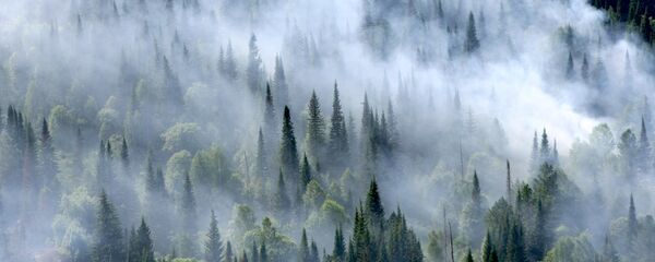 媒体：中国完成对世界上最大的消防水陆两用飞机的装配工作 - 俄罗斯卫星通讯社