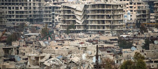 俄罗斯呼吁合作伙伴通报叙利亚温和的反对派“的位置 - 俄罗斯卫星通讯社