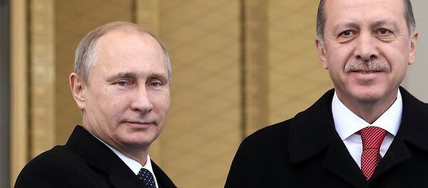 埃尔多安与普京 - 俄罗斯卫星通讯社