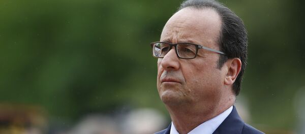 法国总统奥朗德 - 俄罗斯卫星通讯社