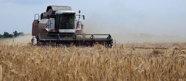 媒体：俄罗斯恢复向中国出口农业机械 - 俄罗斯卫星通讯社