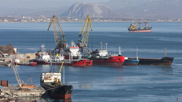 在滨海边疆区纳霍德卡市的港口 - 俄罗斯卫星通讯社