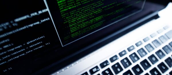 网络安全 - 俄罗斯卫星通讯社