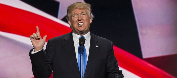 特朗普称关于其与俄政府在民主党邮件外泄事件上有染传言疯狂 - 俄罗斯卫星通讯社