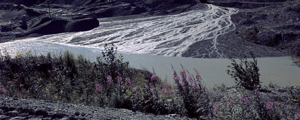 科雷马投资者可以免缴所得税5年 科雷马投资者可以免缴所得税5年 - 俄罗斯卫星通讯社