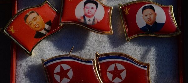 韓國警方在尋找印有金正日頭像胸章的散播者 - 俄羅斯衛星通訊社