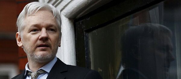 朱利安•阿桑奇 - 俄罗斯卫星通讯社