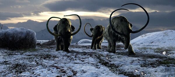 мамонт - 俄罗斯卫星通讯社