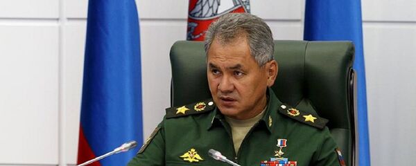 俄罗斯国防部长绍伊古 - 俄罗斯卫星通讯社