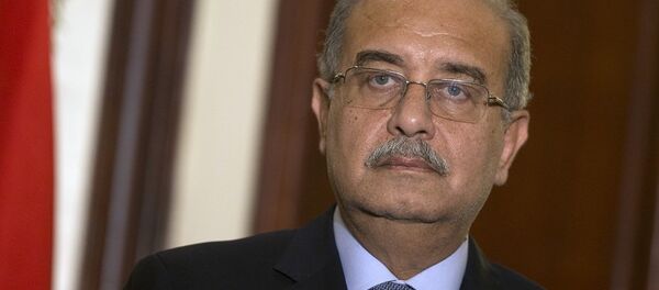 埃及总理伊斯梅尔 埃及总理伊斯梅尔 - 俄罗斯卫星通讯社