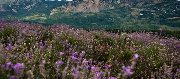 克里米亞政府：英國將在2017年恢復向克里米亞發送遊客 - 俄羅斯衛星通訊社