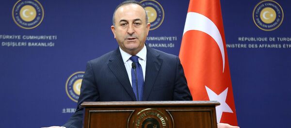 土耳其外长:如美国拒绝引渡葛兰 土美关系必将恶化 土耳其外长:如美国拒绝引渡葛兰 土美关系必将恶化 - 俄罗斯卫星通讯社