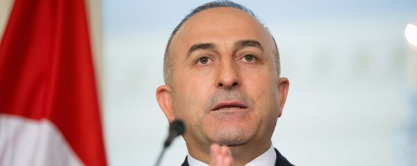 土耳其外长恰武什奥卢 - 俄罗斯卫星通讯社