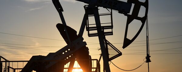 文件：油气领域是俄罗斯与斯洛文尼亚有前景的合作方向 - 俄罗斯卫星通讯社