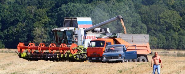 2017年俄农业生产农业将继续增长，且增幅不会低于2016年水平的4% - 俄罗斯卫星通讯社