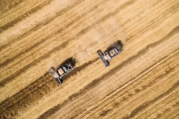 衛星新聞網7月最佳照片 衛星新聞網7月最佳照片 - 俄羅斯衛星通訊社