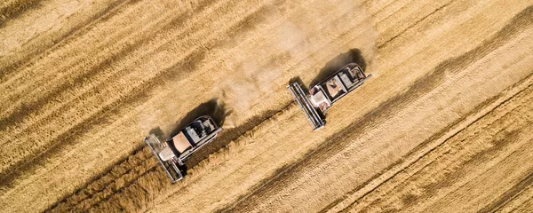 俄糧食聯盟：俄政府必須在中國市場上推廣俄穀物產品 - 俄羅斯衛星通訊社