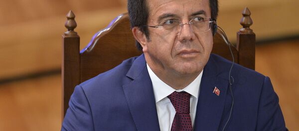 土耳其部长：政变后普京电话给予安卡拉精神上的支持 - 俄罗斯卫星通讯社