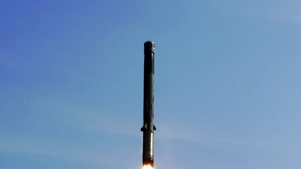 布拉莫斯导弹 - 俄罗斯卫星通讯社