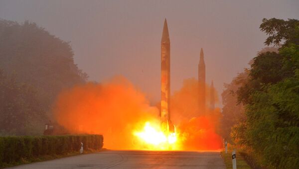 美國專家：朝鮮今年就能測試洲際彈道導彈 - 俄羅斯衛星通訊社