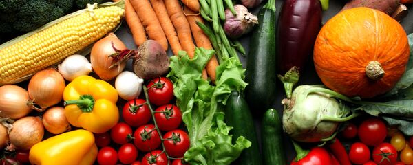 土耳其大使：俄土两国继续就解除对土食品禁运进行接触 - 俄罗斯卫星通讯社