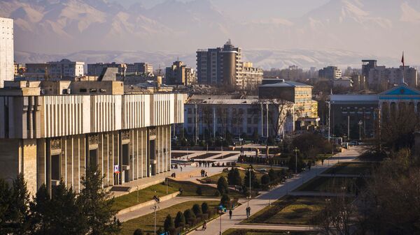 吉尔吉斯斯坦首都比什凯克 - 俄罗斯卫星通讯社
