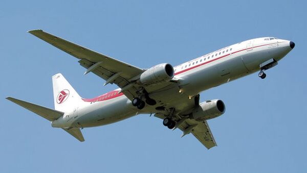 消息人士：阿爾及爾飛往馬賽的客機因技術故障返回起飛機場 - 俄羅斯衛星通訊社