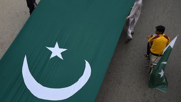 巴基斯坦国旗 - 俄罗斯卫星通讯社