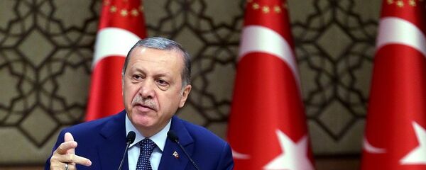 埃尔多安 - 俄罗斯卫星通讯社