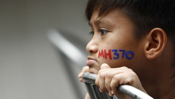 媒體：澳大利亞專家認為MH370高速墜毀 - 俄羅斯衛星通訊社