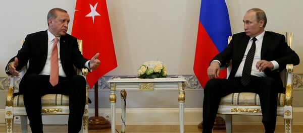 普京与埃尔多安 普京与埃尔多安 - 俄罗斯卫星通讯社