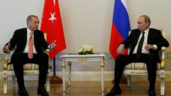 普京称土耳其促使叙局势调解取得重要进展 (资料图片） - 俄罗斯卫星通讯社