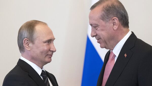 土耳其总统为会面机会和政变企图发生后的支持向普京致谢 - 俄罗斯卫星通讯社