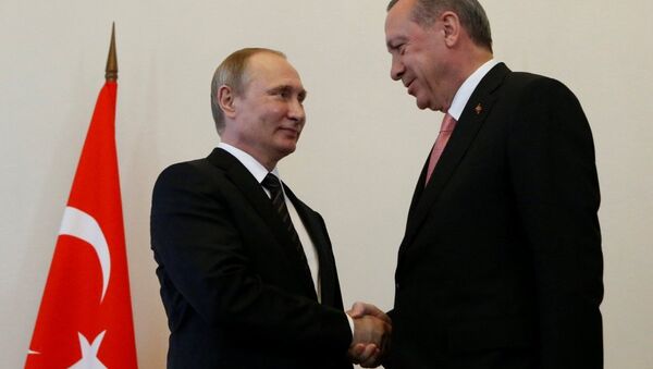 普京：土耳其总统访问表明双方恢复关系的共同意愿 - 俄罗斯卫星通讯社