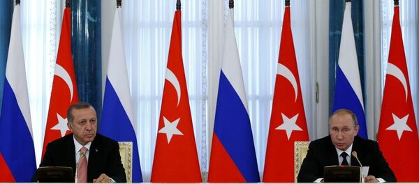 俄总统普京和土耳其总统埃尔多安 - 俄罗斯卫星通讯社