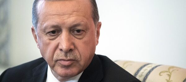 土耳其总统表示希望与普京通电话讨论叙利亚危机 - 俄罗斯卫星通讯社