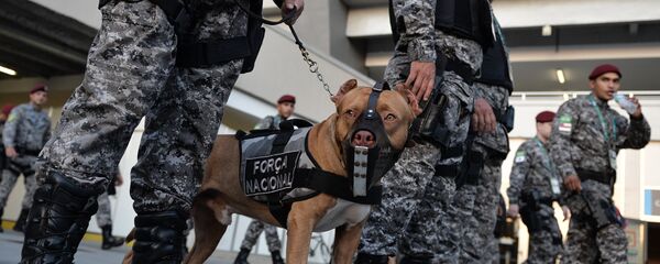 巴西警察 巴西警察 - 俄羅斯衛星通訊社