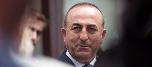 土耳其外长有意在访俄时就美军撤出叙利亚的问题进行讨论 - 俄罗斯卫星通讯社