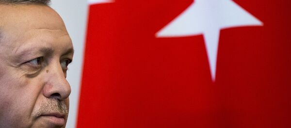 西方媒体解读埃尔多安访俄主要目的 - 俄罗斯卫星通讯社