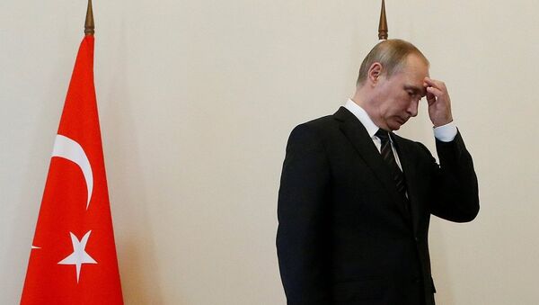 俄总统新闻秘书：克宫不排除普京10月访土可能性 - 俄罗斯卫星通讯社